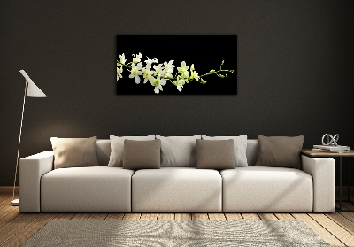 Quadro su vetro Orchidea