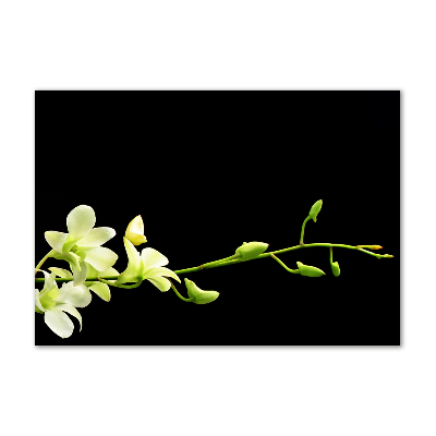 Quadro su vetro Orchidea