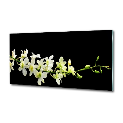 Quadro su vetro Orchidea