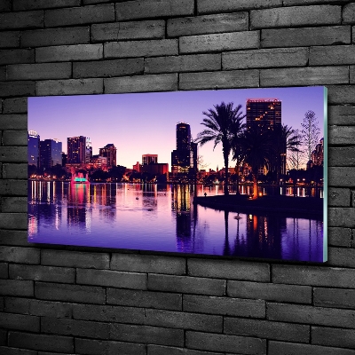 Quadro in vetro Orlando, USA