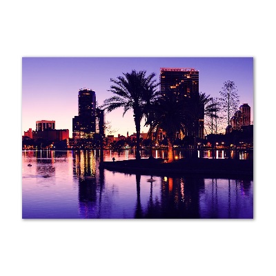 Quadro in vetro Orlando, USA