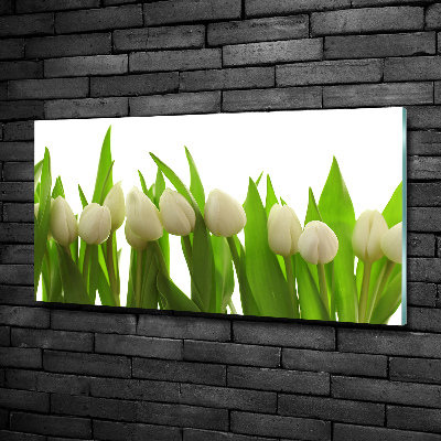 Quadro in verde Tulipani bianchi