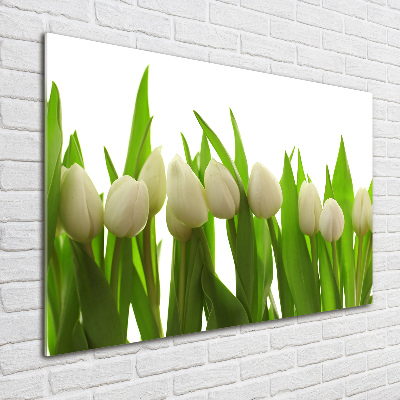 Quadro in verde Tulipani bianchi