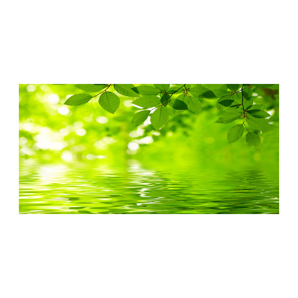 Quadro su vetro Foglie verdi