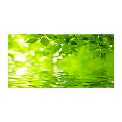 Quadro su vetro Foglie verdi