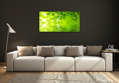 Quadro su vetro Foglie verdi