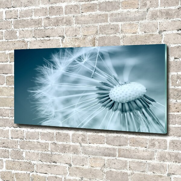 Quadro su vetro Dente di leone