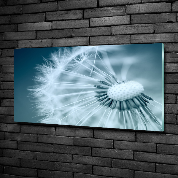 Quadro su vetro Dente di leone