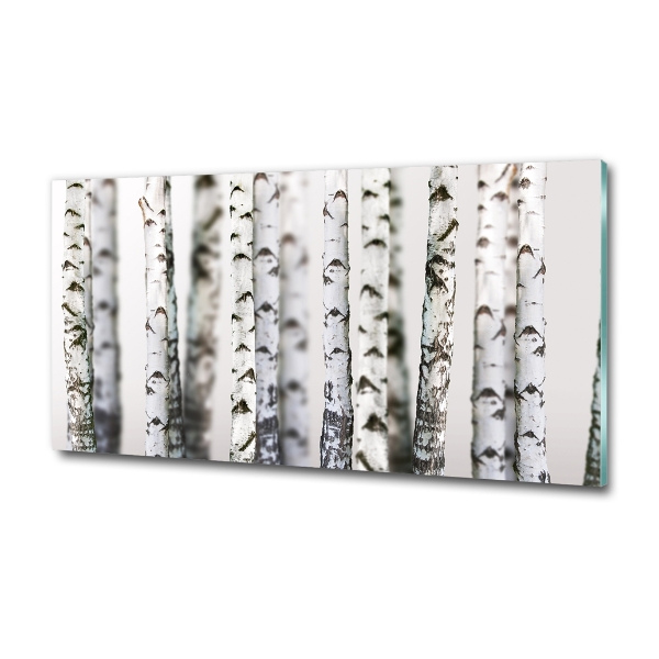 Quadro in vetro Tronchi di betulla