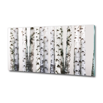 Quadro in vetro Tronchi di betulla