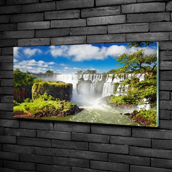 Quadro su vetro Cascata argentina