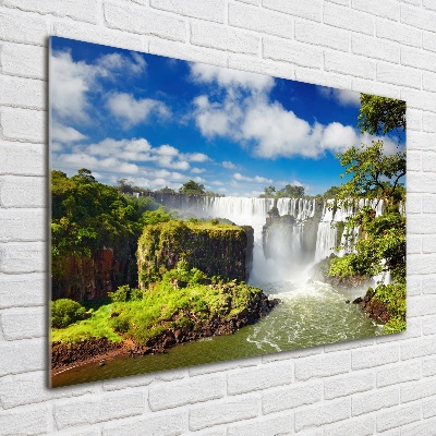 Quadro su vetro Cascata argentina