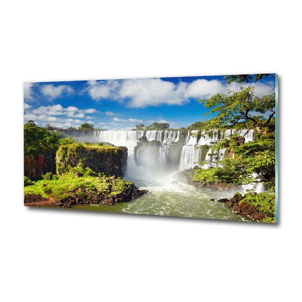 Quadro su vetro Cascata argentina
