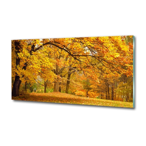 Quadro su vetro Autunno al parco