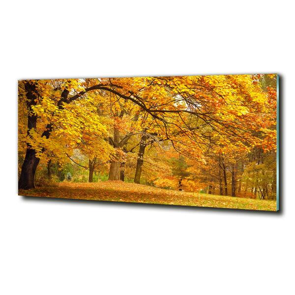 Quadro su vetro Autunno al parco