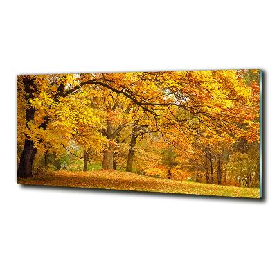 Quadro su vetro Autunno al parco