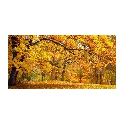 Quadro su vetro Autunno al parco