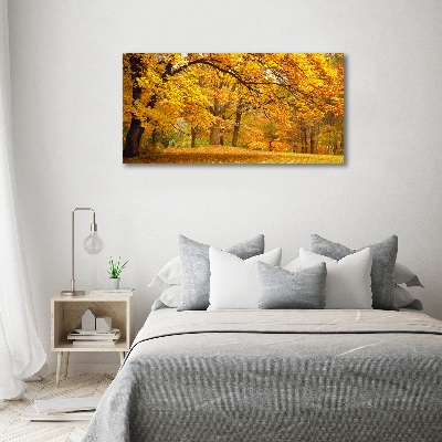 Quadro su vetro Autunno al parco