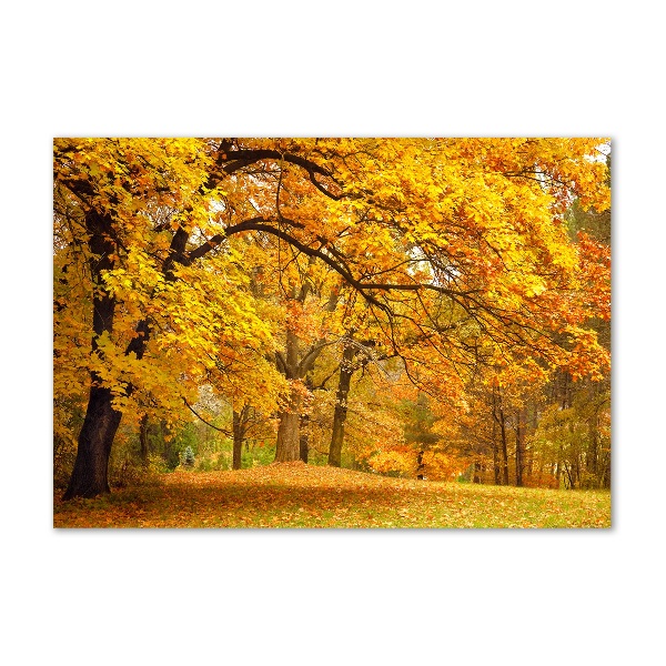Quadro su vetro Autunno al parco