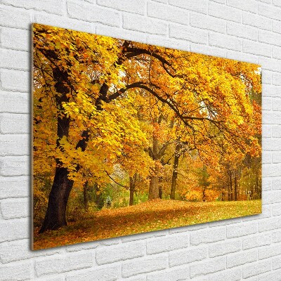 Quadro su vetro Autunno al parco