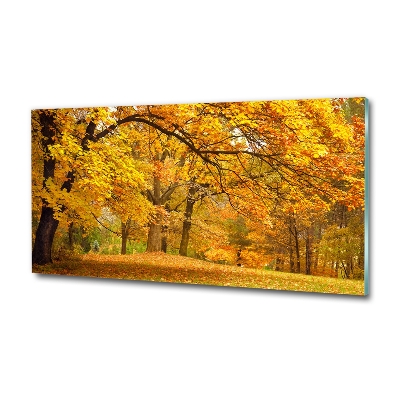 Quadro su vetro Autunno al parco