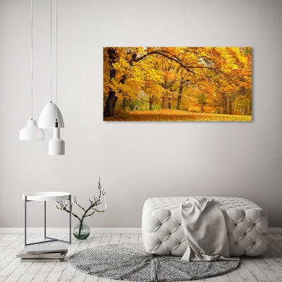 Quadro su vetro Autunno al parco