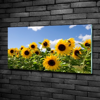 Quadro in verde Girasoli