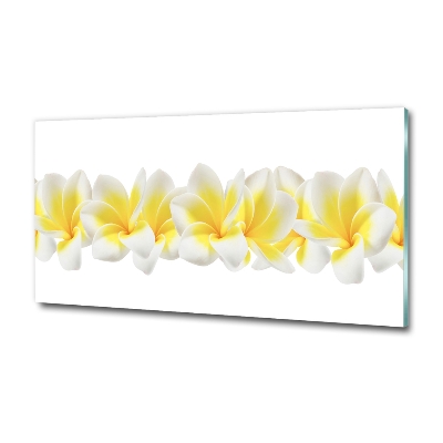 Quadro vetro Plumeria