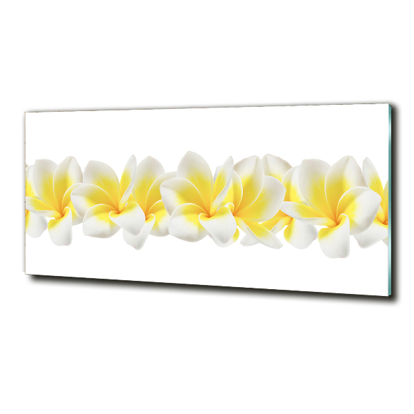 Quadro vetro Plumeria