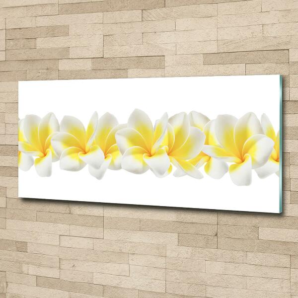 Quadro vetro Plumeria