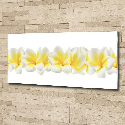 Quadro vetro Plumeria