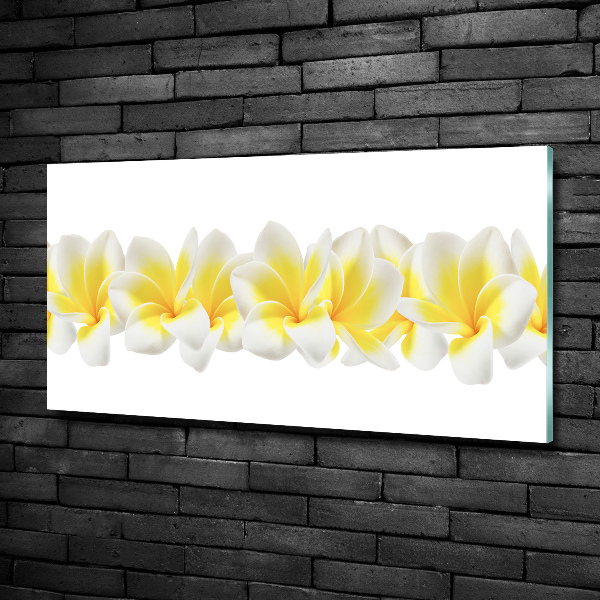Quadro vetro Plumeria