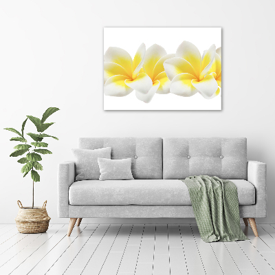 Quadro vetro Plumeria