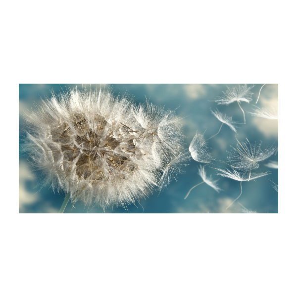 Quadro su vetro Denti di leone