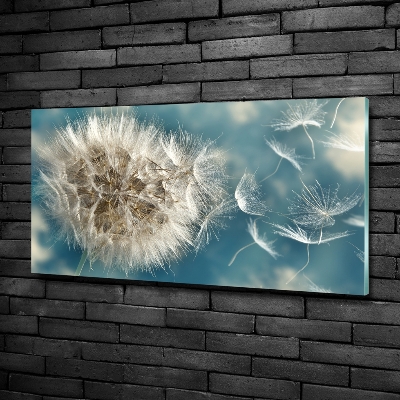 Quadro su vetro Denti di leone