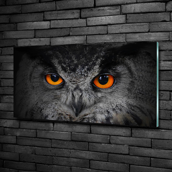 Quadro in vetro Occhi di gufo diabolici