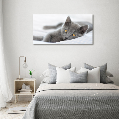 Quadro in verde Gatto grigio