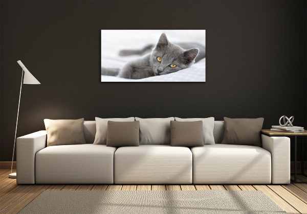 Quadro in verde Gatto grigio