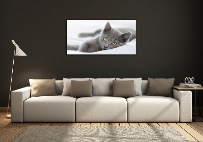 Quadro in verde Gatto grigio