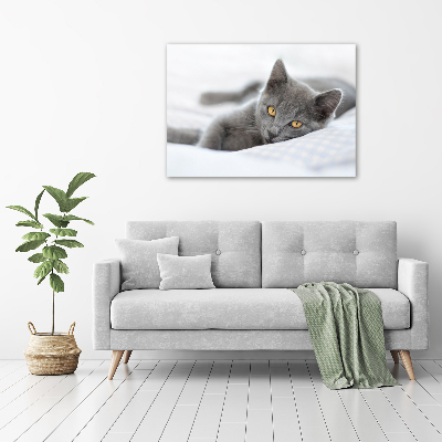 Quadro in verde Gatto grigio