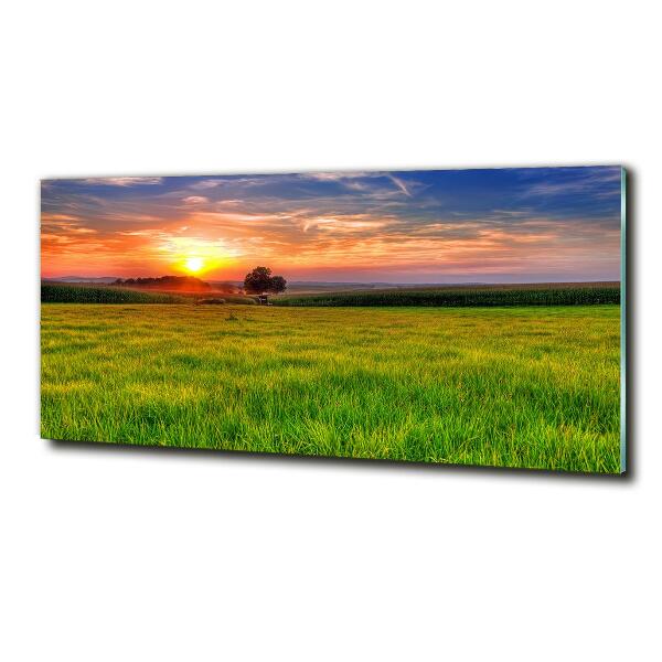 Quadro vetro Prato del tramonto