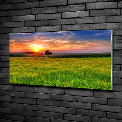 Quadro vetro Prato del tramonto