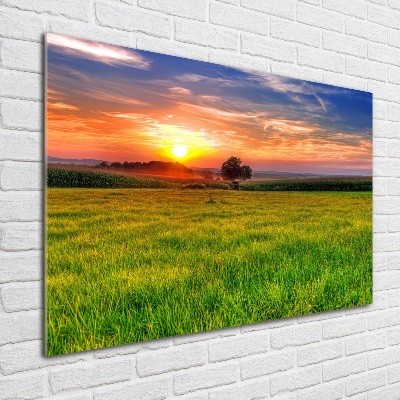 Quadro vetro Prato del tramonto