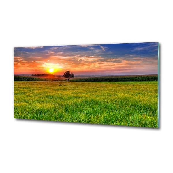 Quadro vetro Prato del tramonto