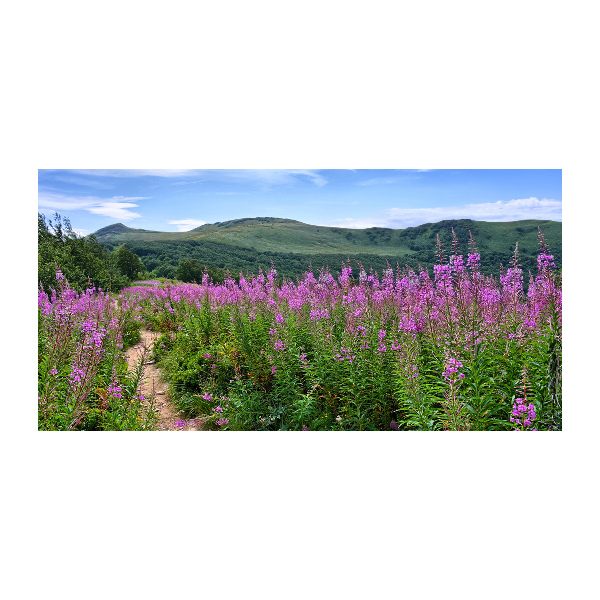 Quadro in vetro Colline verdi