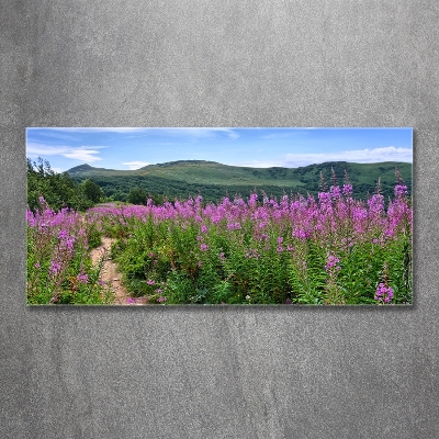 Quadro in vetro Colline verdi