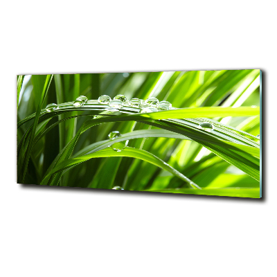 Quadro vetro Gocce sull'erba