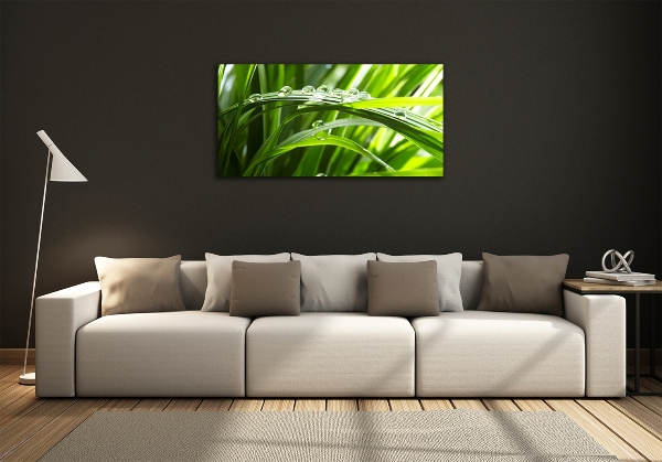 Quadro vetro Gocce sull'erba