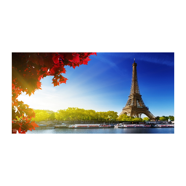 Quadro in verde Torre Eiffel Parigi