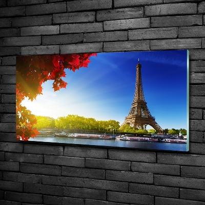 Quadro in verde Torre Eiffel Parigi